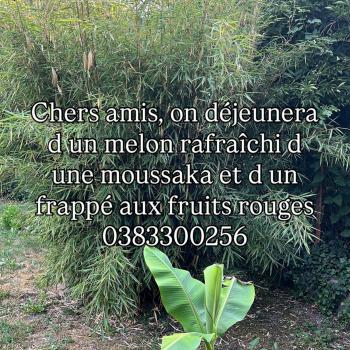 Menu du jour